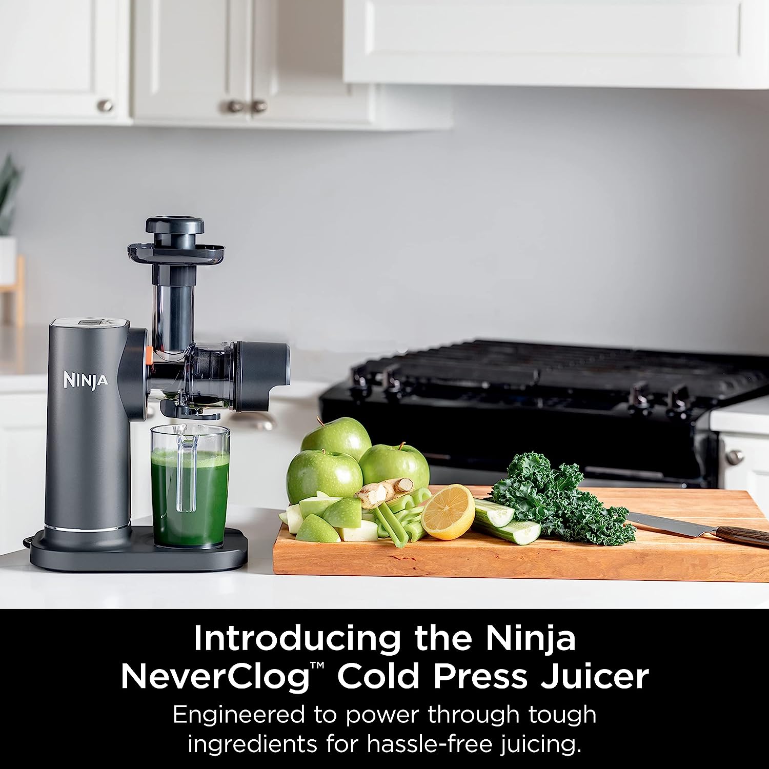 ninja cold press juicer nama juicer omega juicer
  