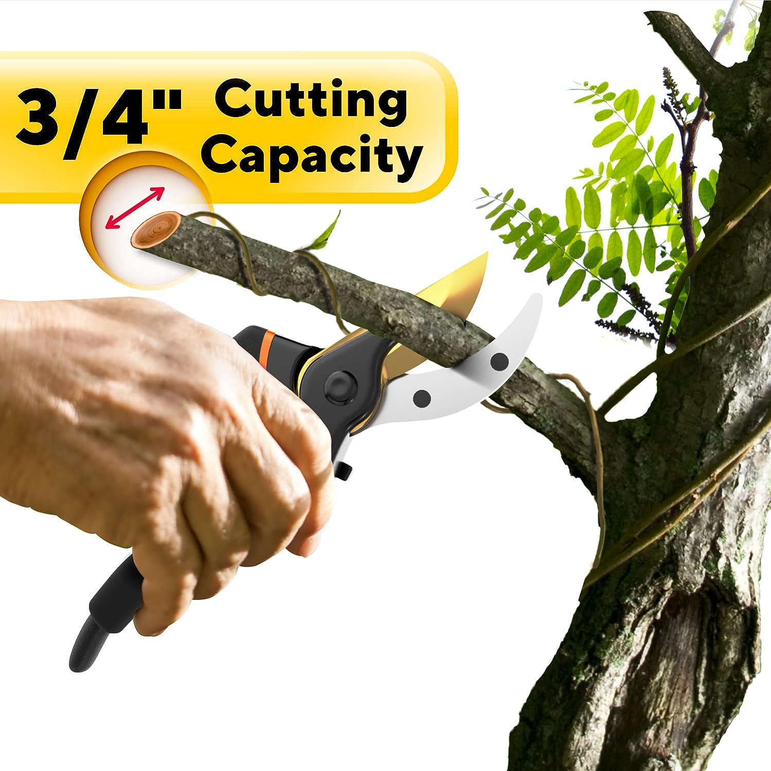 Garden Pruning Shears
          Pruner Tools
          Hedge Clippers
          Tree Pruning Scissors
  