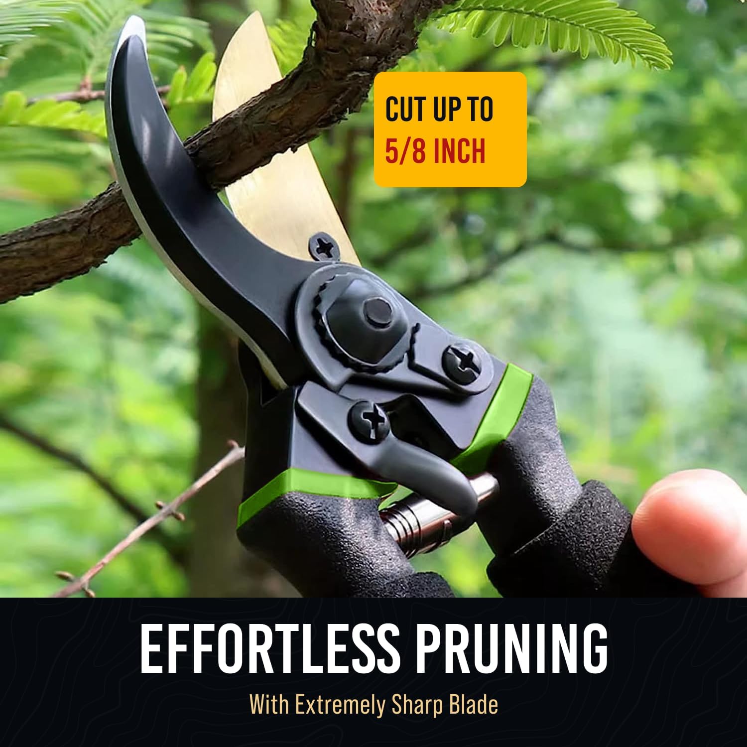 Garden Pruning Shears
           Pruner Tools
           Hedge Clippers
           Tree Pruning Scissors
  